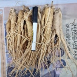 풍기인삼 원수삼 5년근 6년근 인삼 12-18뿌리 750g : 한보인삼사
