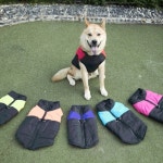 강아지 겨울 옷 하네스 패딩조끼 소형견 : 트라피K