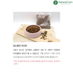 네츄럴코어 센시티브 케어 베지, 3kg, 1개 : 멍냥 상회