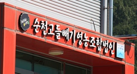 순천 [개랭이 영농조합] 고들빼기피클 : 아임파머 농협회사