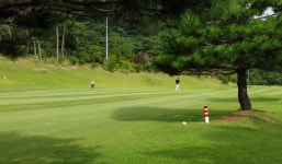 보성CC 골프패키지 3월특가 : 골프매니저
