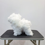 [왈왈]펫클립위그 전체털 애견미용 강아지 위그털 도그위그 시험 자격증(화이트) 풀코트 위그 : 왈왈쇼핑