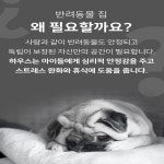 펫프라이즈 프라이빗 강아지 하우스 펫 집 : 애머티스트