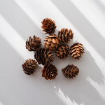 솔방울 3cm 미니 장식 크리스마스 트리 리스 장식 : 라탄이와실랑이