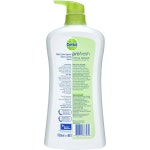 호주 Dettol 데톨 프로 후레시 시트러스 버스트 바디워시 샤워젤 950ml 3팩 : 토토니상점