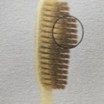 긴칫솔 왕칫솔 대왕칫솔 미세모 큰 약국 칫솔 : 에그 애플