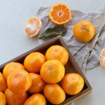 제주 불로초 고당도 하우스 감귤 3kg 12브릭 프리미엄귤 밀감 코스트코 : 갱이홈즈