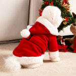초코펫하우스 강아지옷 크리스마스 댕댕이 겨울 산타복 : 초코펫하우스
