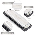 EAST TOP 하모니카 다이아토닉 하모니카 10홀 C조 블루스 초보자 전문가 T009-1-C : iseichistore