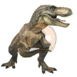 감귤마켓 모형완구 티라노사우루스 렉스 공룡 모형 : 감귤마켓