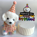아이리스토퍼 반려동물 생일토퍼 금쪽같은 내새끼 생일축하해 : 무지개부티크