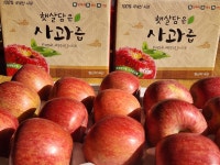 소백산 사과즙 부사100% 수량한정 [원산지:국산(충청북도 단양군)] : 복희의 사과농장