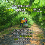 국내산 여주차 2g X 30개 진하고 간편한 프리미엄 여주차티백 : 옹달샘농장2019