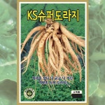 슈퍼도라지씨앗 KS슈퍼도라지 500g 대포장 개량종 으뜸 민속토종 종자 : 올팜농자재