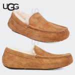 어그 미국UGG 모카신 남성 Ascot 털신 방한화 체스트넛 : 퍼스트어스