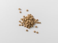 벅스펫 벅스독 오리지널 1.2kg 인섹트사료 강아지 알러지개선 밀웜 눈물 곤충사료 : 댕댕캐슬