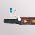 참인코리아 세라믹 나노 NANO 양면 배 허리벨트 뜸질 참인 Charmin 찜질기 뜸질기 : 엔앤제이인터내셔널