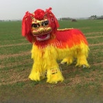 중국 사자탈 풍물놀이 경극 행사용 축제 행사 : 비에이비