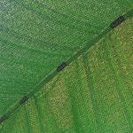 폭 1m - 10m 무봉제 사중직 차광막 8m x 95m : 차광막 공장