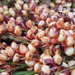 운두란 수수조청 500g : 운두란