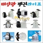 태양광 펭귄라이프 : 아트과학