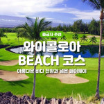 지지와이넘버원 | [빅아일랜드] 와이콜로아 비치 골프 코스 : 하와이넘버원