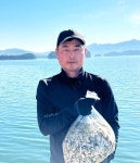 주식회사 돌고래냉동수산 | 통영 생 깐 굴 세척 석화 1kg : 주식회사 엄마수산