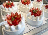 [피오니] 딸기케이크 1호 (24일 오후) 예약분 : 오블릭