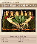 원준이네 인삼밭 수삼 선물 SET [2호] : 원준이네인삼밭