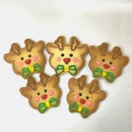 크리스마스쿠키 루돌프쿠키 (5개세트) 어린이집 유치원 생일파티 행사 답례품 간식주문 : 고유쿠키