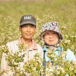잼있는농부 블루베리벌꿀 380g /청정지역 정선의 천연벌꿀 : 에코스토리