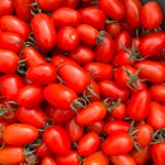 서민농장 대추방울토마토 3kg 5키로 : 서민 농장