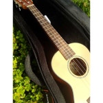 우쿨렐레가방 쿠션 26인치 진동 충격방지 케이스 백 : 슈퍼토끼 구매대행