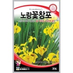 노랑꽃창포씨 30립 노랑꽃 창포 씨앗 붓꽃 창포꽃씨 종자 : 모두의가든
