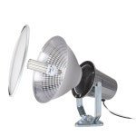 일광 야외 설치 투광기 세트 대모갈 전구교체 E39 주유소 공장 창고 건물외벽 공사현장 : GoldenWattle