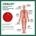 클라톡톡 클라세움 신제품  디토엑스 클라톡톡 대마쥬스 : 금테라피상사