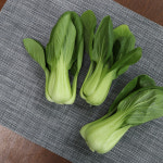 국내산 청경채 2kg 4kg 마라탕 샤브샤브 용 청경채 1kg : 농산물마루