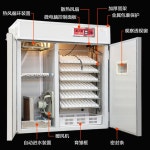 농장용 대형 달걀 계란부화 인큐베이터 조류 병아리부화기 양계업 : 캐리바이