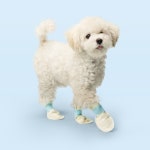 네오핏 매직컴포트 강아지 일회용 신발 산책용 논슬립 방수 애견 양말 32매 : 네오핏