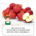 [엔젤스애플] 2025 부사 출시! -청송사과4kg/정품(23-26(한입사과)/19-21과(소과)/15-17과/13-14과/12-11과) : 올댓-엔젤스애플-엔젤스한우