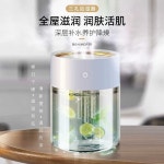충전식 인테리어 가습기 레인포레스트 화이트 2L 3L : 우주달해외직구