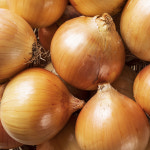 국내산 깐양파 특대 500g+500g : 럭키 수산