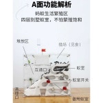 개미성 개미 둥지 생태 교육용 곤충 키우기 개미굴 : 차수