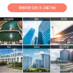 정화조 냄새제거 폐수 슬러지 분뇨 화장실 250g 10팩 : 빛이랑