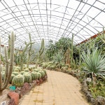 제주 한림공원 / 제주도 서쪽 한림 관광지 수목원 식물원 꽃 나무 힐링 : 브이패스