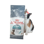 로얄캐닌 헤어볼 케어 고양이 사료 2kg : 빨리바카