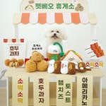 펫베오 강아지 노즈워크 장난감 휴게소 간식 세트 5종 : 펫베오