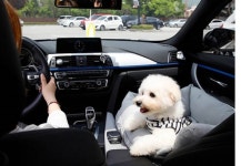 강아지 반려동물 쿠션 카시트 펫 드라이브 : 백말