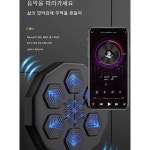 전자복싱,복싱,실내운동기구, 신나는 운동기구,펀치, 스마트 뮤직 복싱 머신 : 다팔아백화점