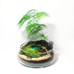 나만의 숲섬만들기 테라리움키트 테라리움DIY 이끼테라리움 : 숲의 조각
